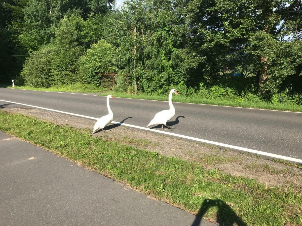 Ferienhaus Im Fischersteig Wustrow  Zewnętrze zdjęcie